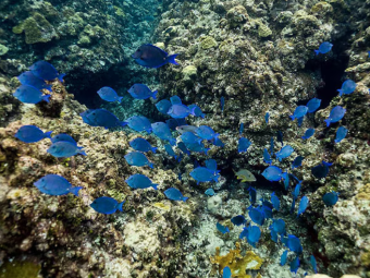 AQABA CELE 3