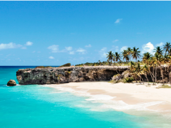 BARBADOS MSC 1