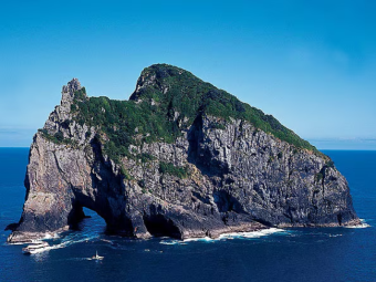 BAY OF ISLAND CELE 4