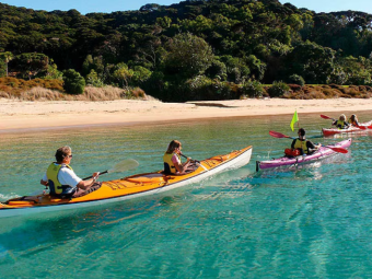BAY OF ISLAND CELE 9