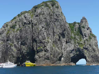 BAY OF ISLANDS CARN