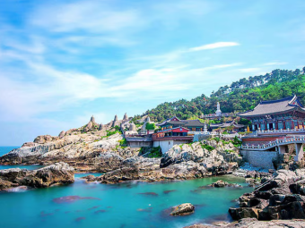 BUSAN CELE 1