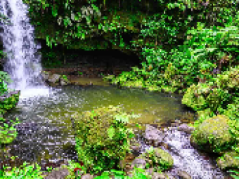 DOMINICA CARNIVAL 4