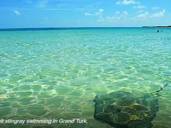 GRAND TURK ROYAL 3