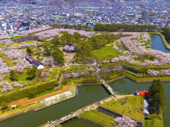 HAKODATE CARN