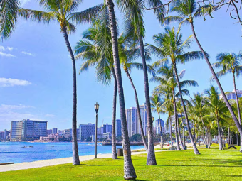 HONOLULU CELE