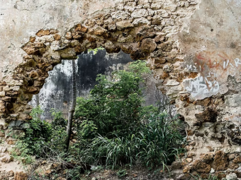 Isle of Pines Cele 3