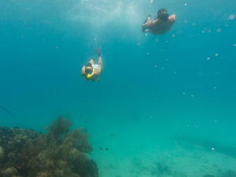 Isle of Pines Cele 5