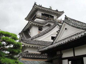 KOCHI CELE