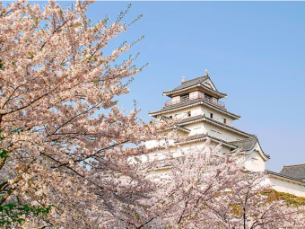 Kagoshima CELE 2