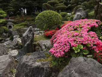 Kagoshima CELE