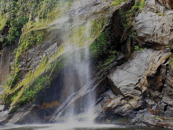 MILFORD SOUND CELE 2