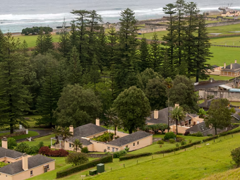 NORFOLK ISLAND CARN 1