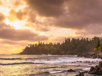 NORFOLK ISLAND CARN