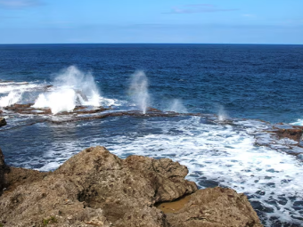 NUKU'ALOFA CARN 1