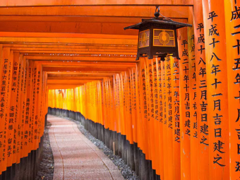 OSAKA VELE