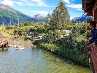 Stroll Along Waterfront Park