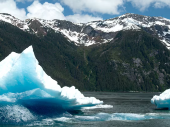 TRACY ARM FJORD 1