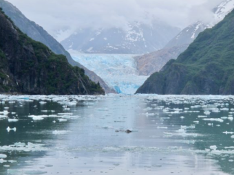 TRACY ARM FJORD 4