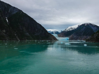 TRACY ARM FJORD 5